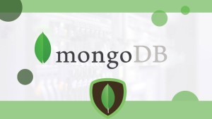 دوره آموزشی پایگاه داده MongoDB ساخت دیتابیس با مانگو دی بی