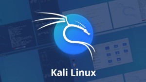 دوره آموزشی Kali Linux - کالی لینوکس برای تازه‌کاران