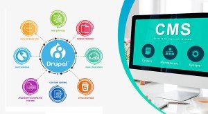 دوره آموزشی Drupal CMS - طراحی وب سایت با دروپال