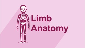 دوره آموزشی General Anatomy of Human Body آناتومی عمومی بدن انسان