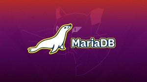 دوره آموزشی MariaDB آموزش کامل نصب و راه اندازی MariaDB در ویندوز 10