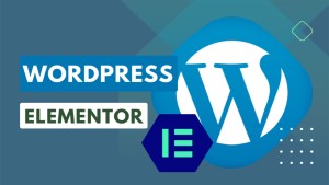 دوره آموزشی کار با Wordpress و Elementor برای ساخت وب سایت