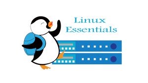 دوره آموزشی Linux Essentials آموزش مبانی لینوکس